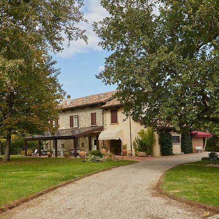 Agriturismo Virano19 Castrocaro Terme Esterno foto